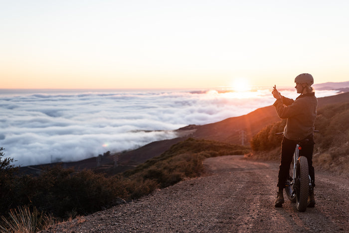 How to Accomplish Your New Year’s Sustainability Goals