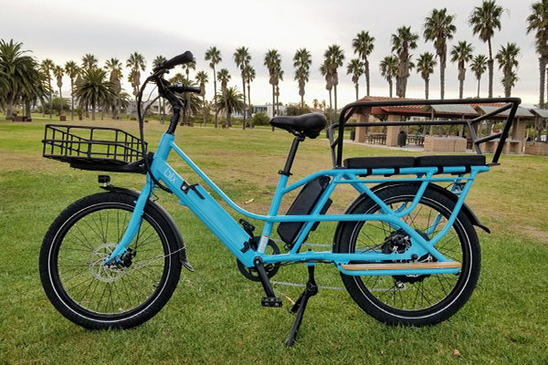 CleanTechnica Reviews the Packa