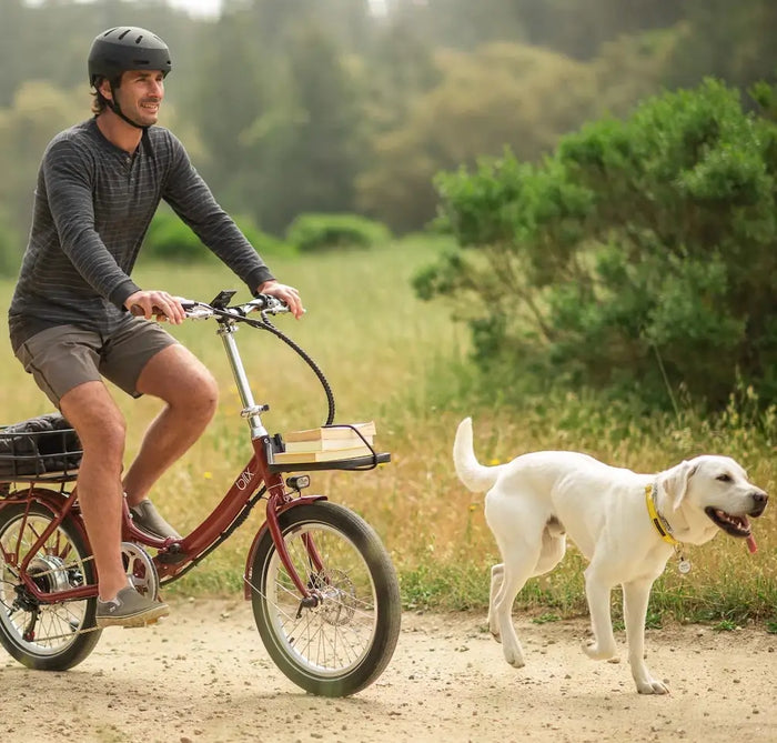 Ebikes and Longevity: How Regular Riding Can Extend Your Life