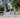 5 Reasons to Travel by Bike this Memorial Day!