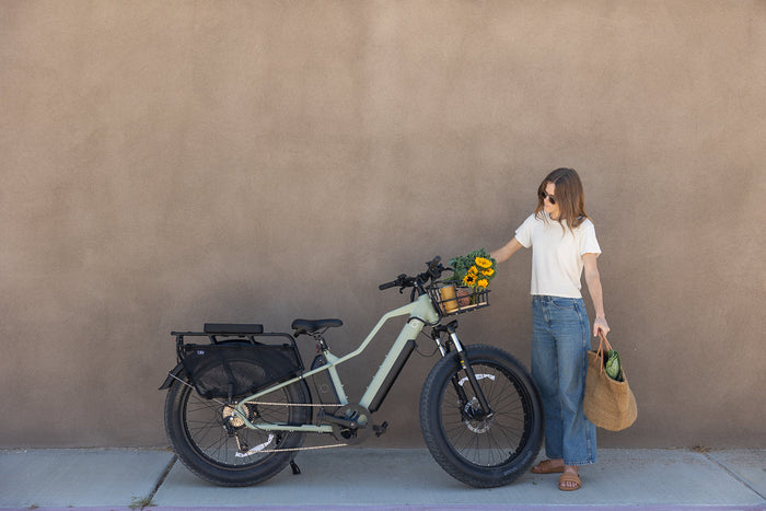 From Zero to Hero: Beginner-Friendly Tips for New Electric Bike Owners