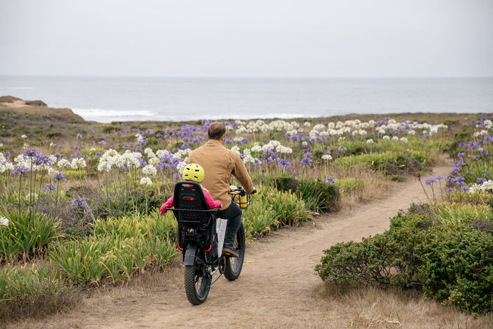 E-Biking in Nature: The Mental and Physical Benefits of Outdoor Adventures