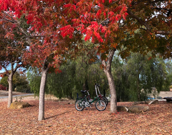 Tips For Riding in Cold Weather